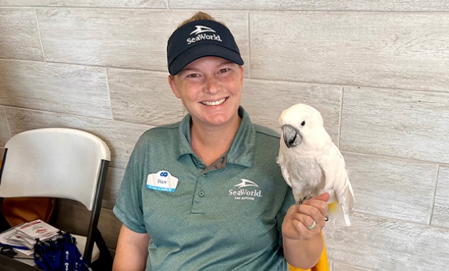 Image for Slide #4 in Gallery #3