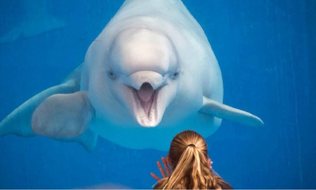 Image for Slide #1 in Gallery #3