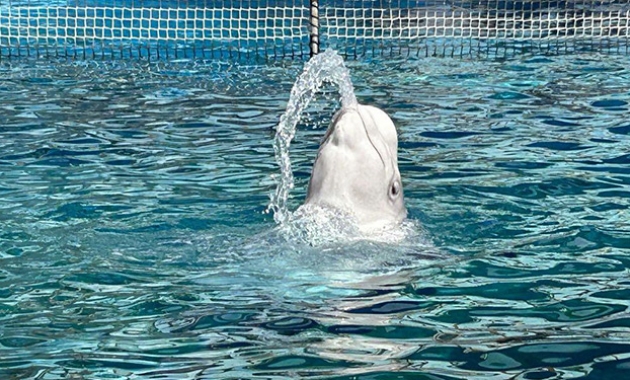 Image for Slide #11 in Gallery #3