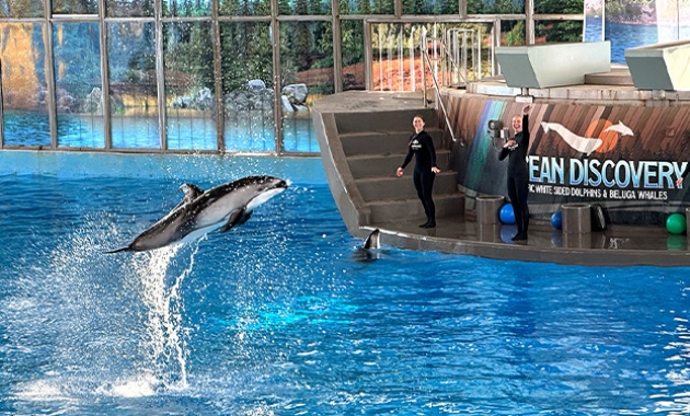 Image for Slide #9 in Gallery #3