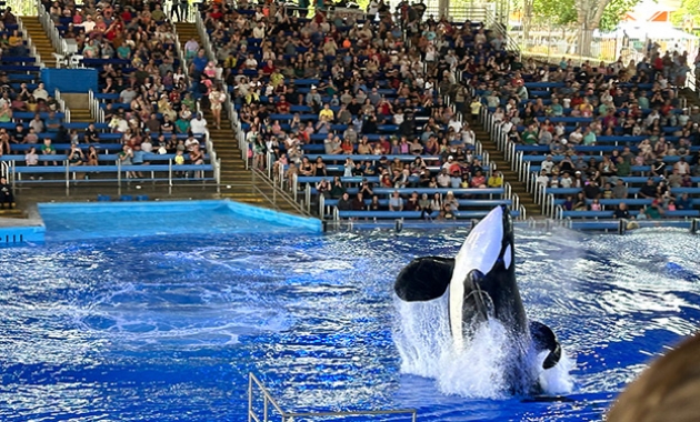 Image for Slide #19 in Gallery #3