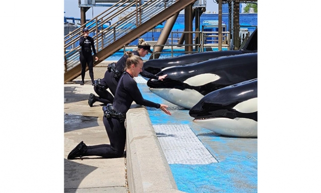 Image for Slide #24 in Gallery #3