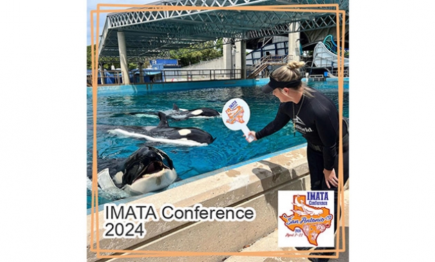 Image for Slide #21 in Gallery #3