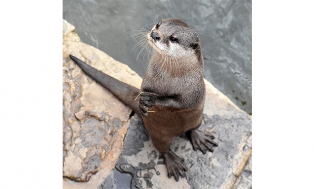 Image for Slide #16 in Gallery #3