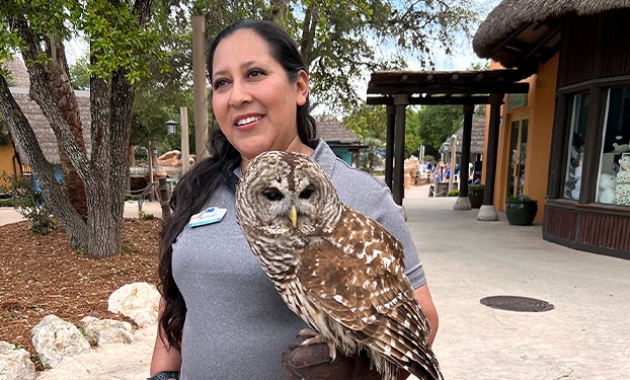 Image for Slide #10 in Gallery #3