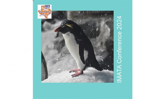 Image for Slide #20 in Gallery #3