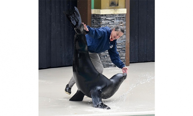 Image for Slide #13 in Gallery #3