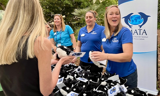 Image for Slide #26 in Gallery #3