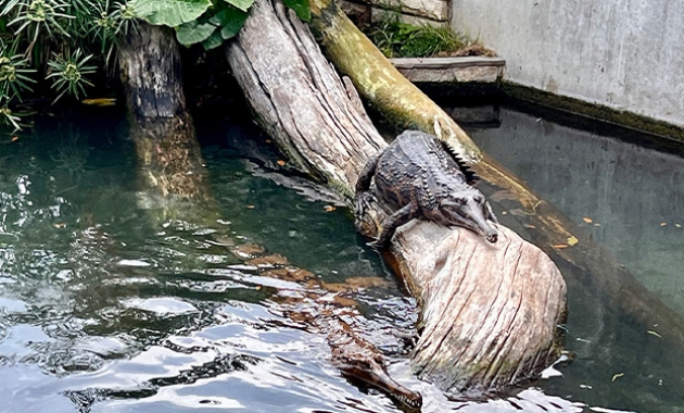 Image for Slide #10 in Gallery #4