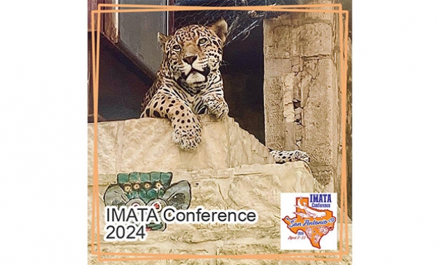 Image for Slide #14 in Gallery #4