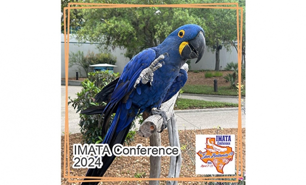 Image for Slide #18 in Gallery #4