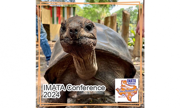 Image for Slide #15 in Gallery #4