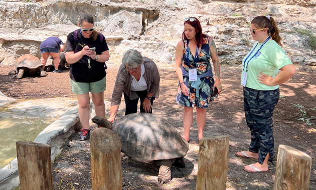 Image for Slide #1 in Gallery #4