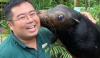 Enhancing Welfare Through Specialized Transportation and Medical Training for California Sea Lions <em>(Zalophus californianus)</em>