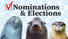 Nominations and Elections